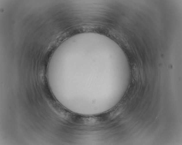 X0000076270698200610262031