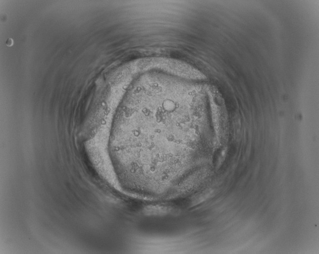 X0000076270699200610262030