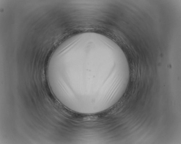 X0000076270700200610262030