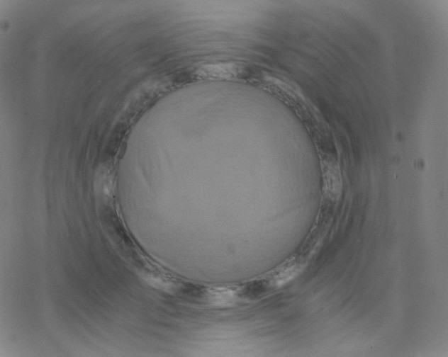 X0000076270701200610262030