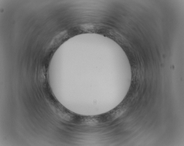 X0000076270702200610262030