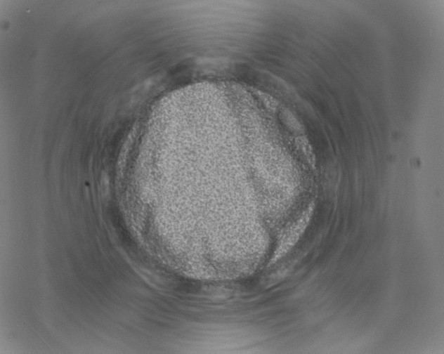 X0000076270703200610262030