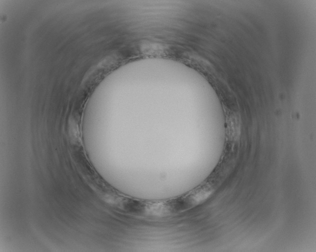 X0000076270705200610262030