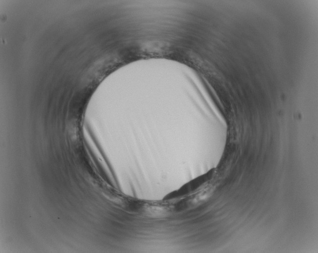 X0000076270706200610262030