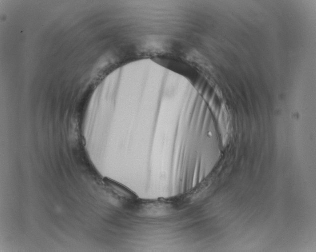 X0000076270708200610262030