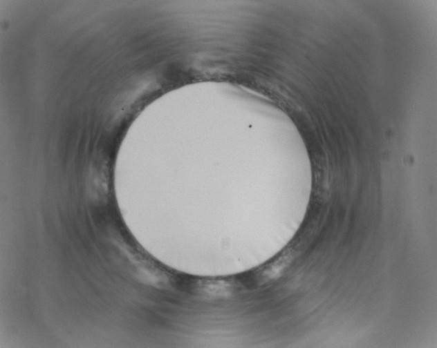 X0000076270710200610262030