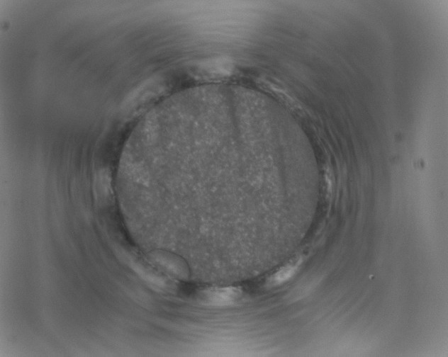 X0000076270711200610262030