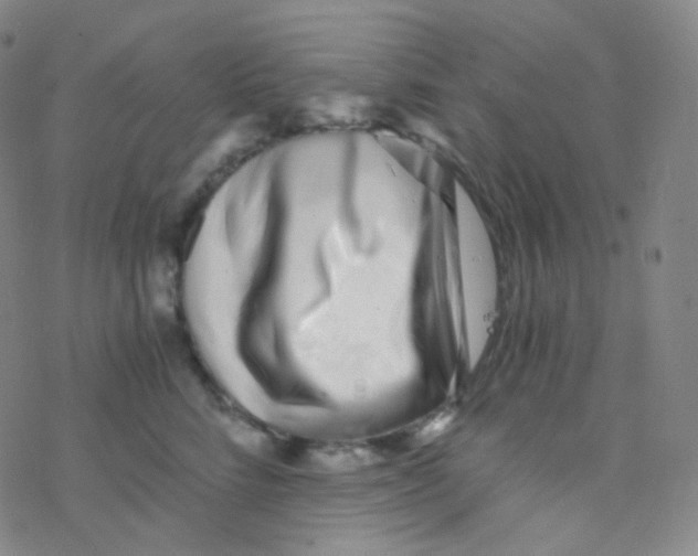 X0000076270712200610262030