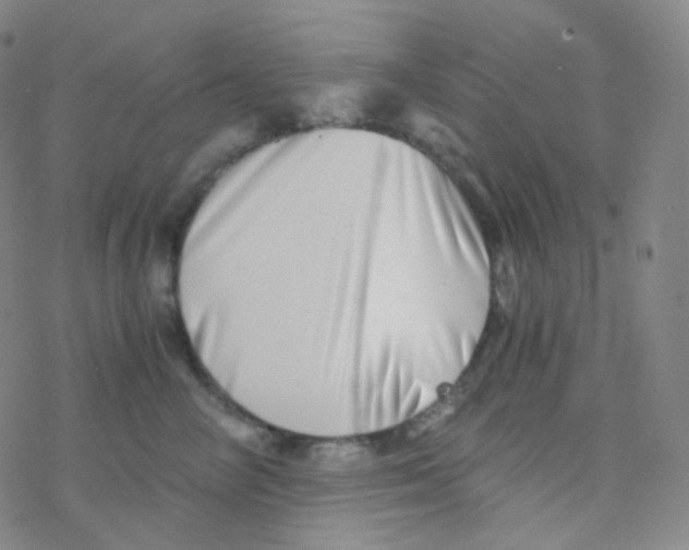 X0000076270714200610262030