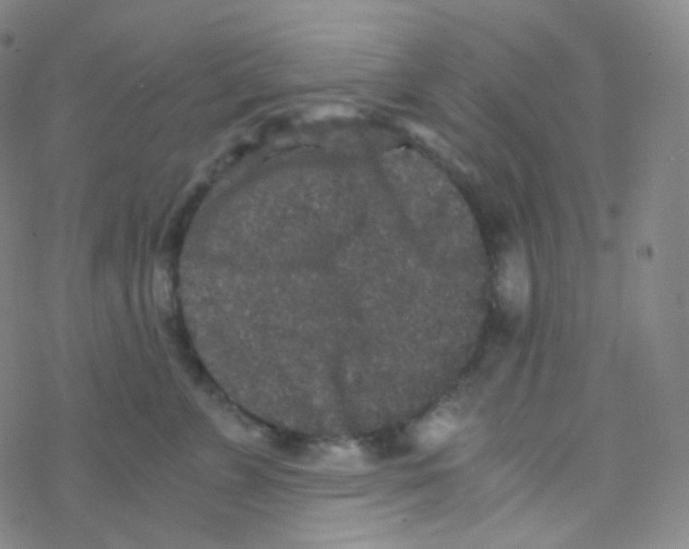 X0000076270715200610262030