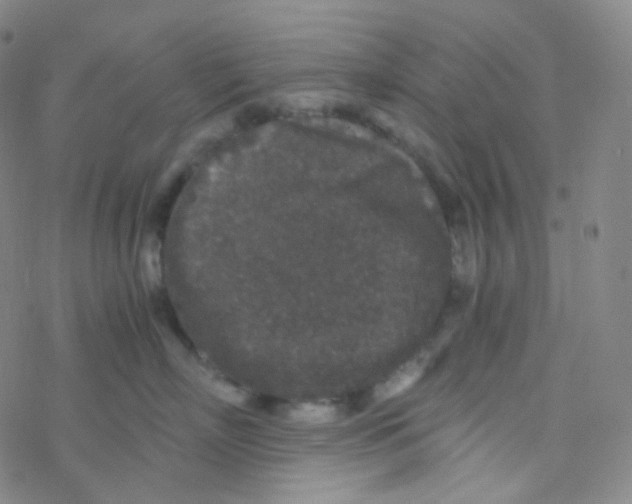 X0000076270718200610262030