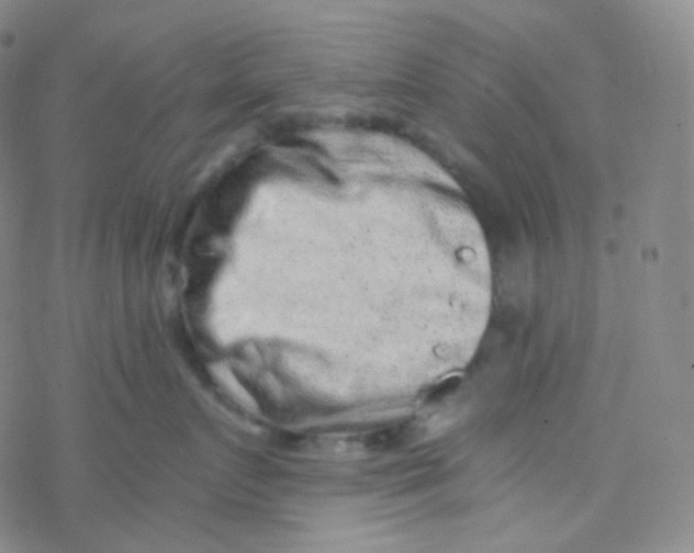 X0000076270719200610262030