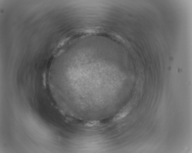 X0000076270720200610262030