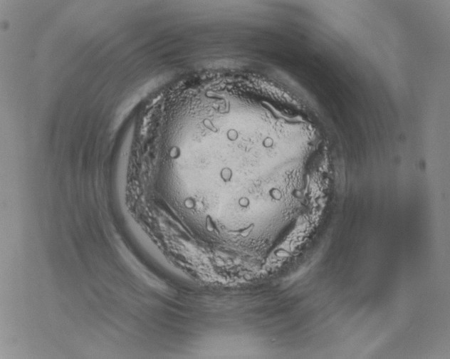 X0000076270725200610262029