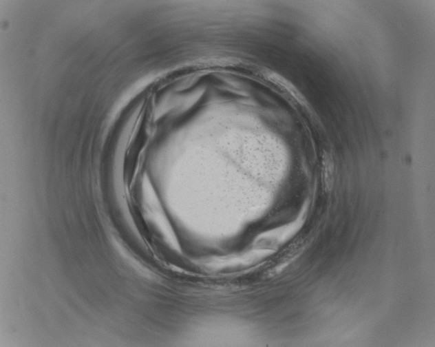 X0000076270726200610262029