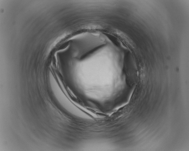 X0000076270727200610262029