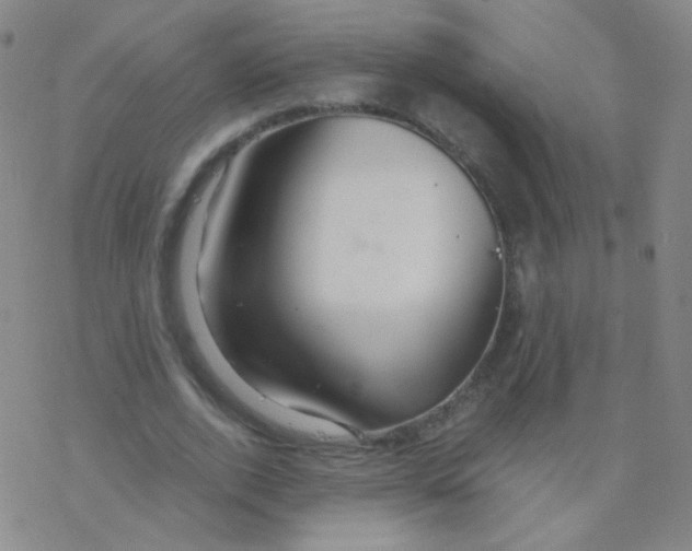 X0000076270728200610262029