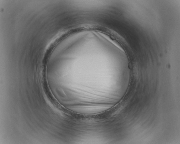 X0000076270730200610262030