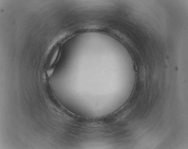 X0000076270731200610262030