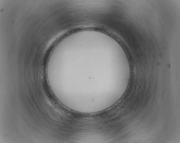 X0000076270732200610262030