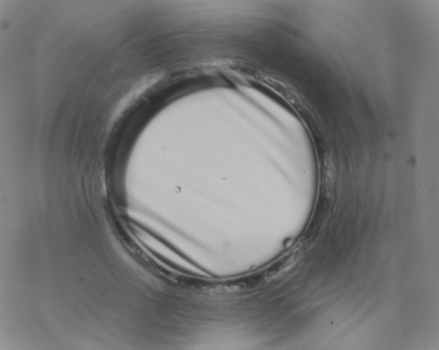 X0000076270734200610262030