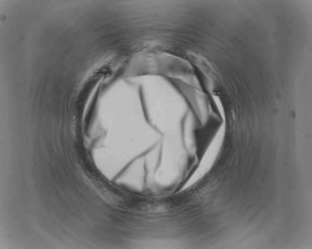 X0000076270735200610262030