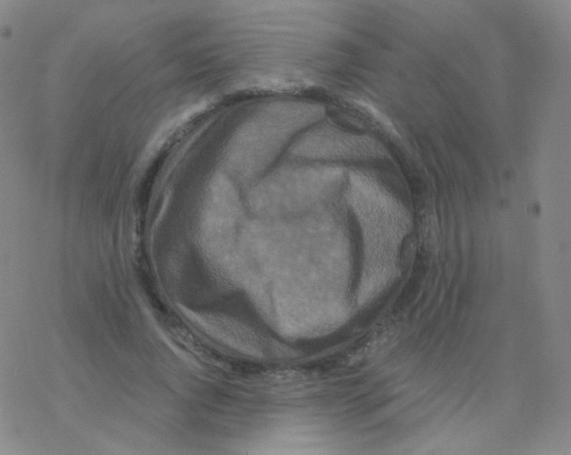 X0000076270736200610262030