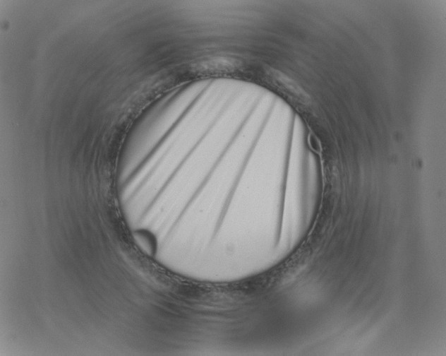 X0000076270737200610262030