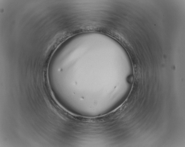 X0000076270738200610262030