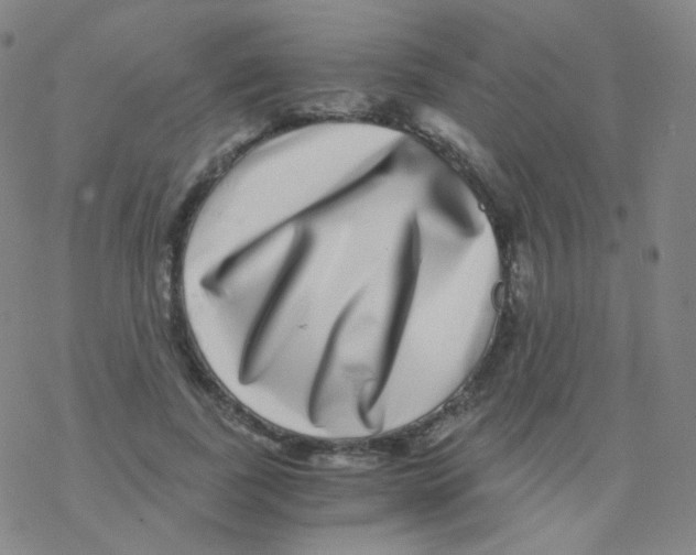 X0000076270739200610262030