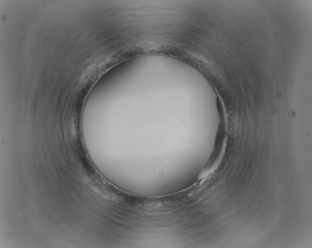 X0000076270740200610262030