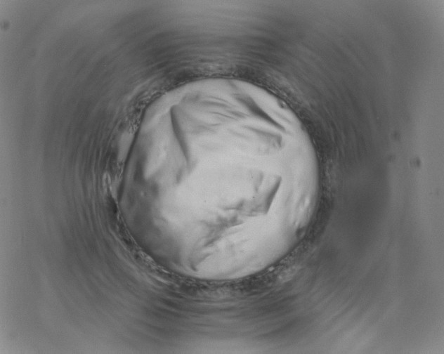 X0000076270741200610262030