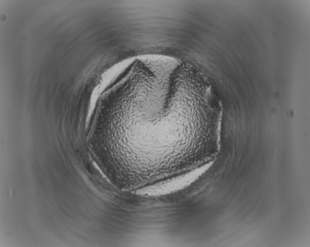 X0000076270742200610262030