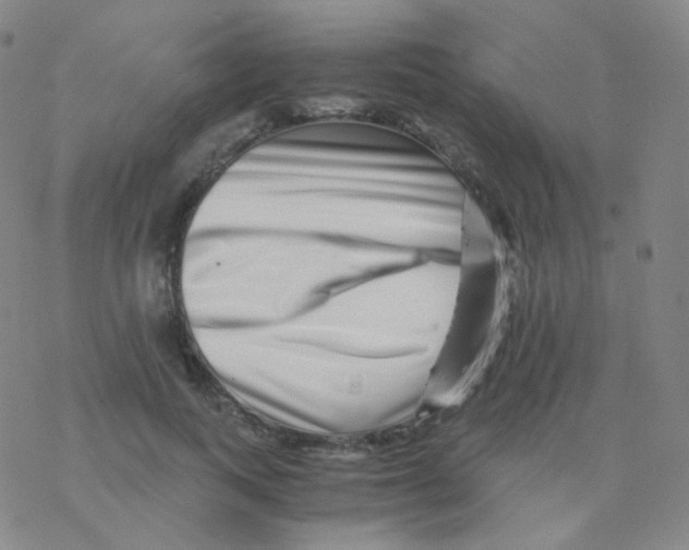 X0000076270743200610262030