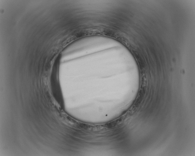 X0000076270745200610262030