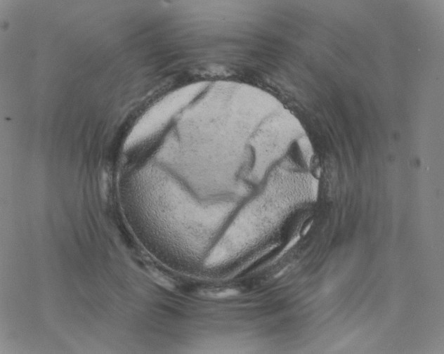 X0000076270747200610262030