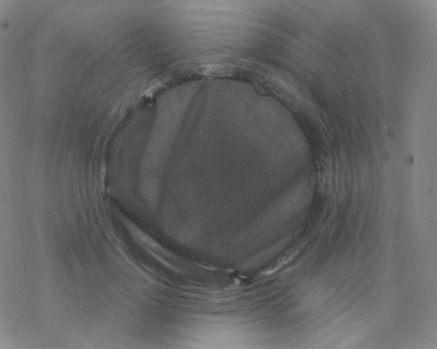 X0000076270748200610262030