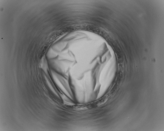 X0000076270749200610262030