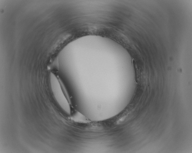 X0000076270750200610262030