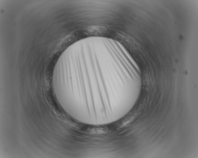 X0000076270751200610262030