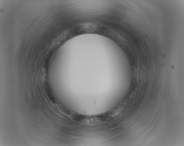 X0000076270752200610262030