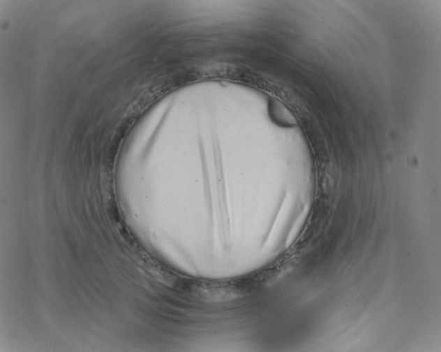 X0000076270753200610262030