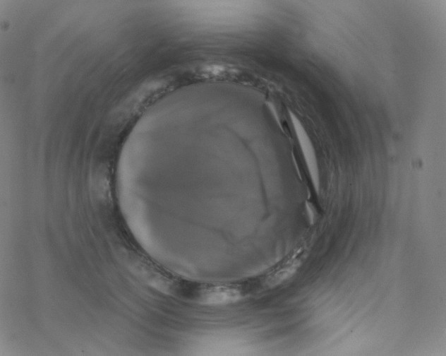 X0000076270754200610262030