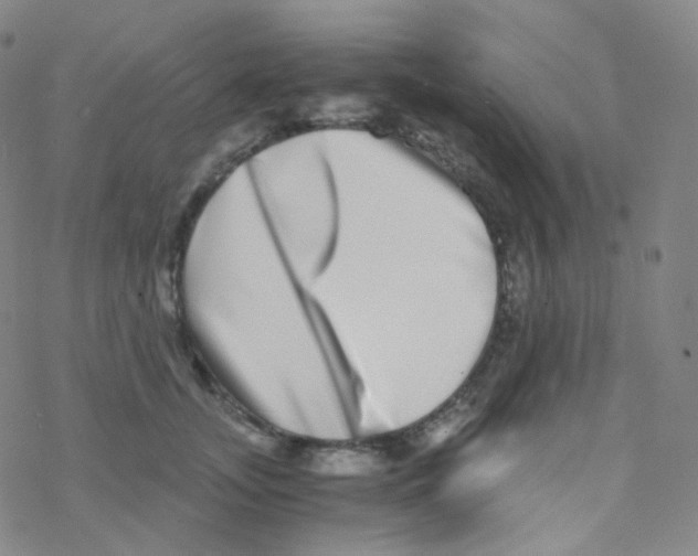 X0000076270755200610262030