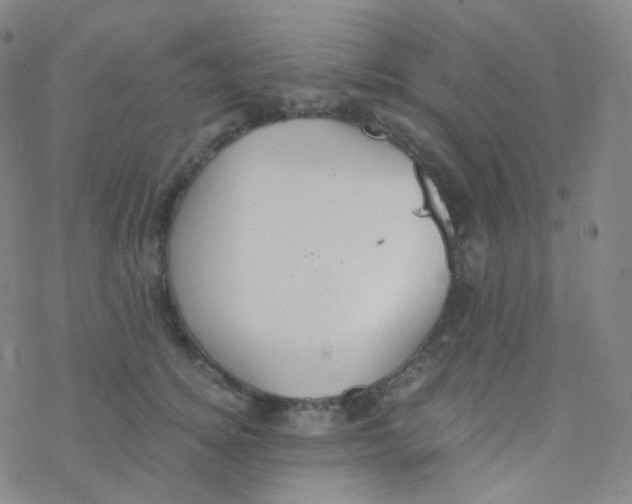 X0000076270756200610262030