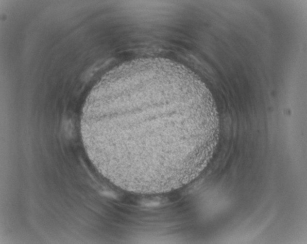 X0000076270757200610262030