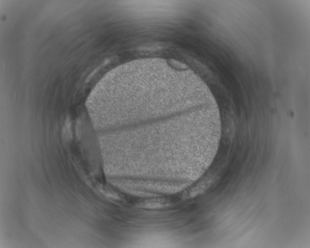 X0000076270758200610262030