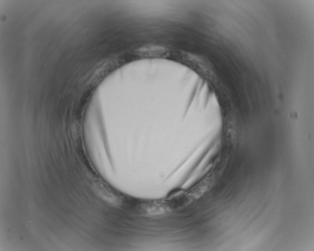 X0000076270761200610262030