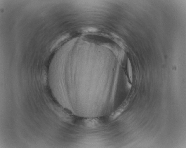 X0000076270762200610262030