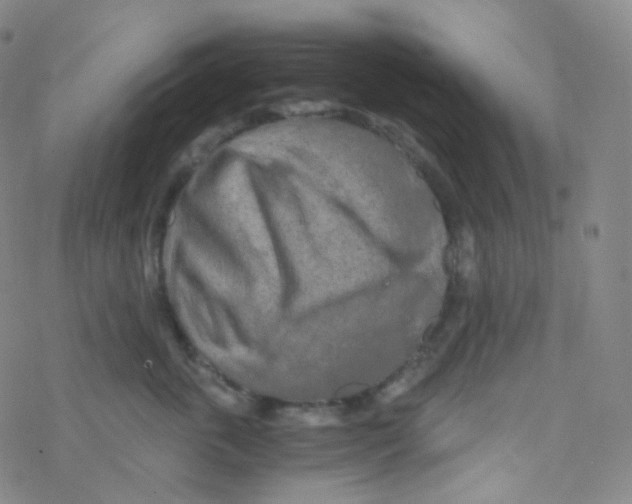 X0000076270763200610262030